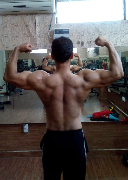 6 Weeks Massive Biceps Online Workshop