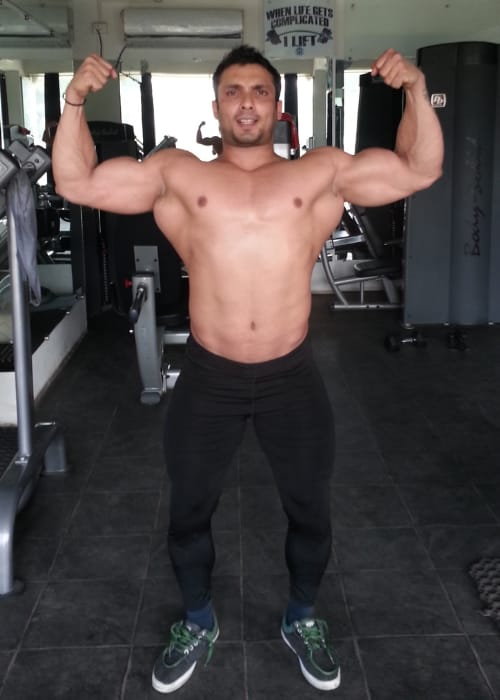 Best biceps transformation online course.