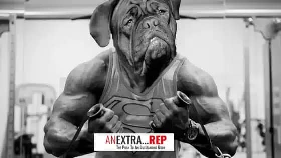 How Critical Thinking & Emotional Strength Impact Bodybuilding