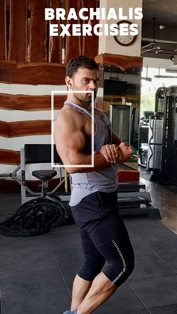 brachialis exercises